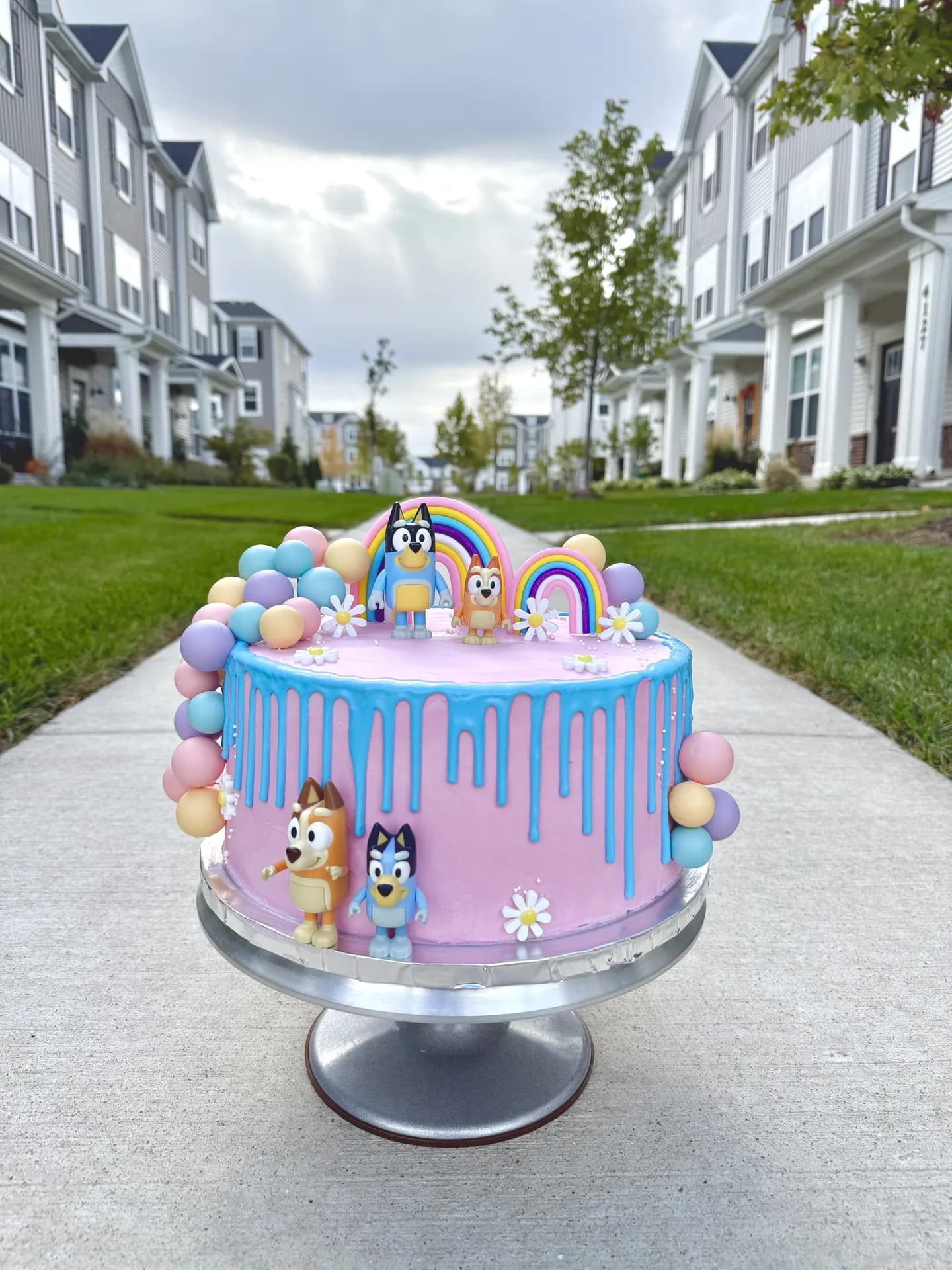 Bluey Rainbow Celebration