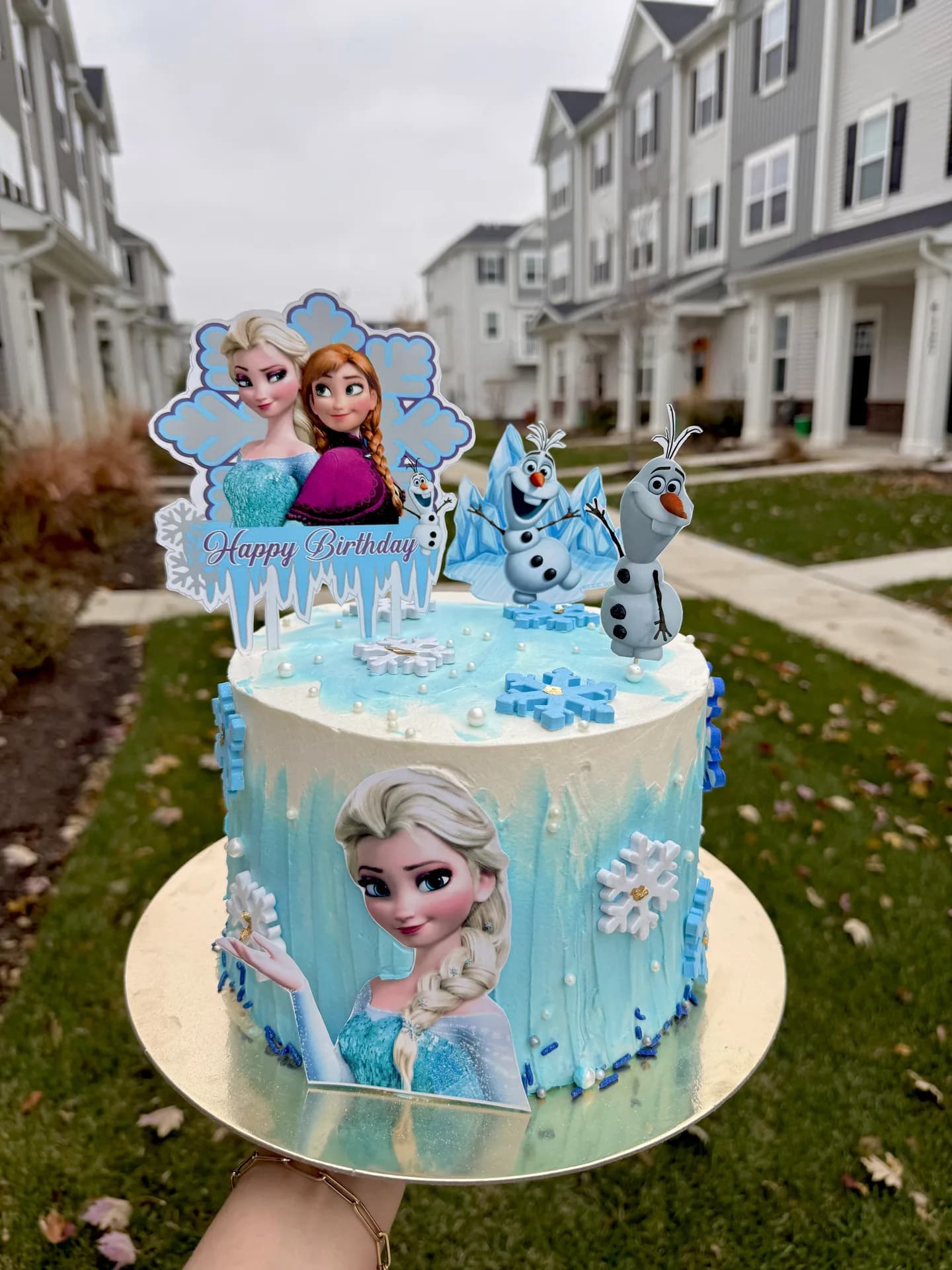 Frozen Elsa Ice Themed
